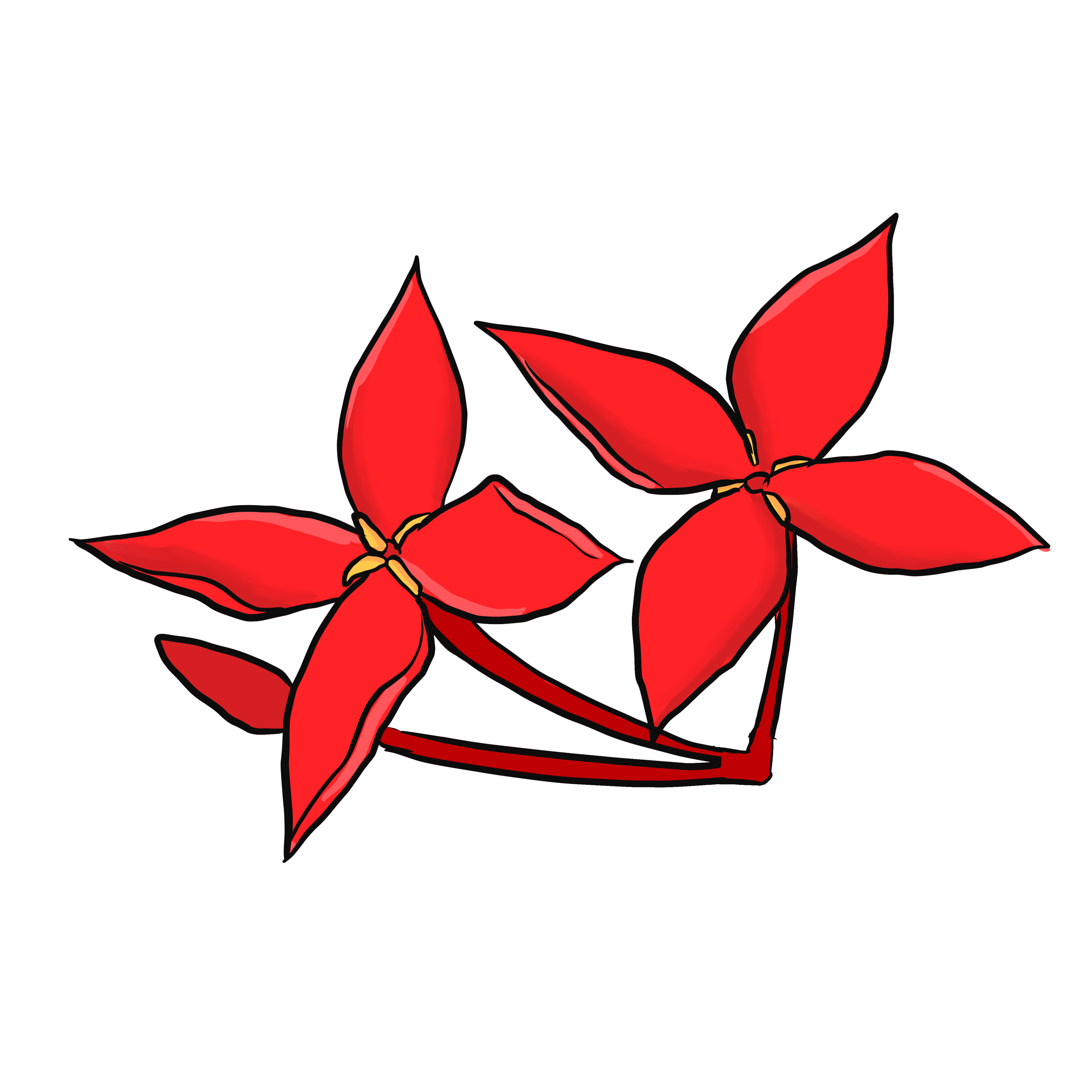 Ilustración de La Ixora